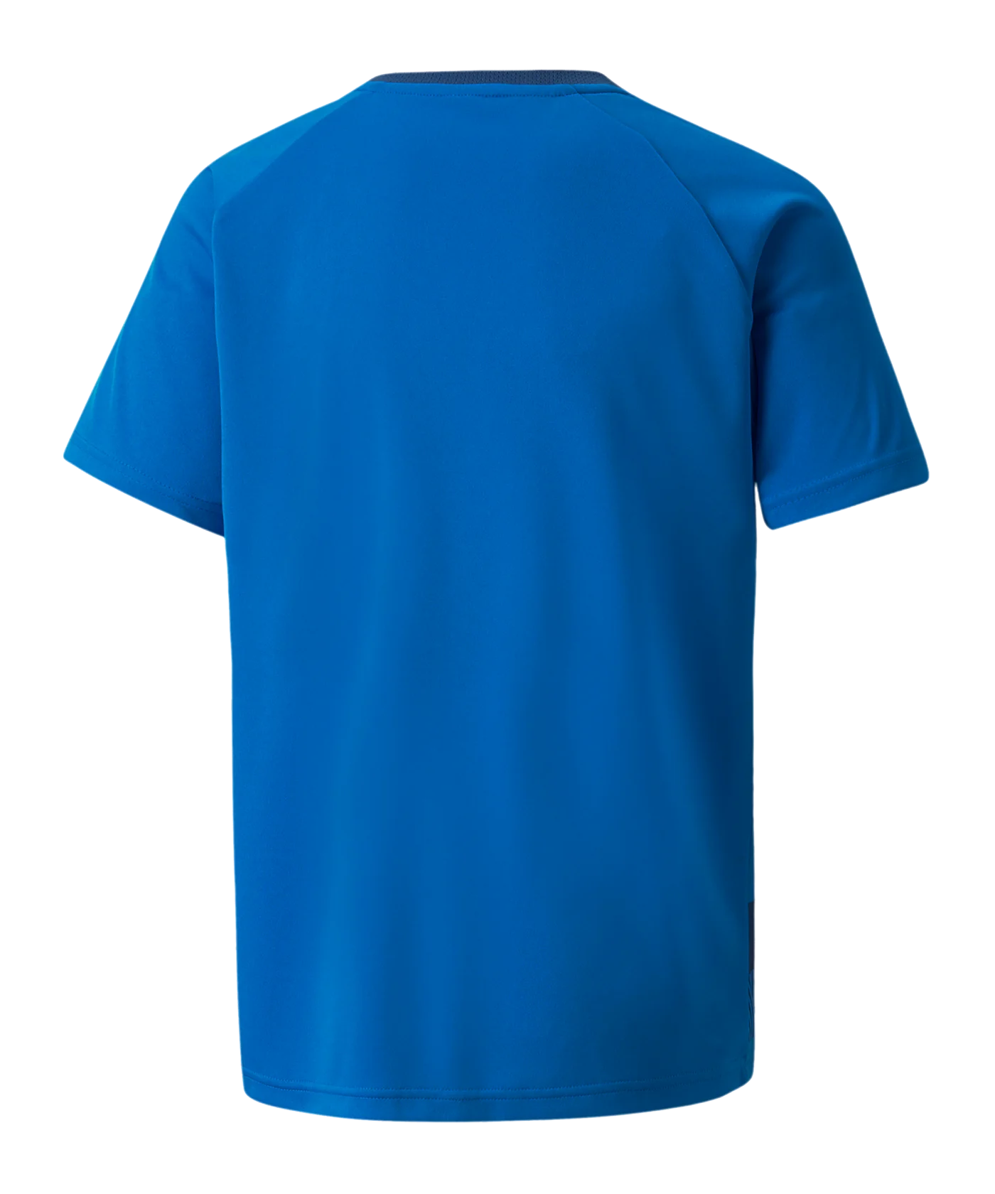 PUMA teamVISION Trikot Kids Blau F02