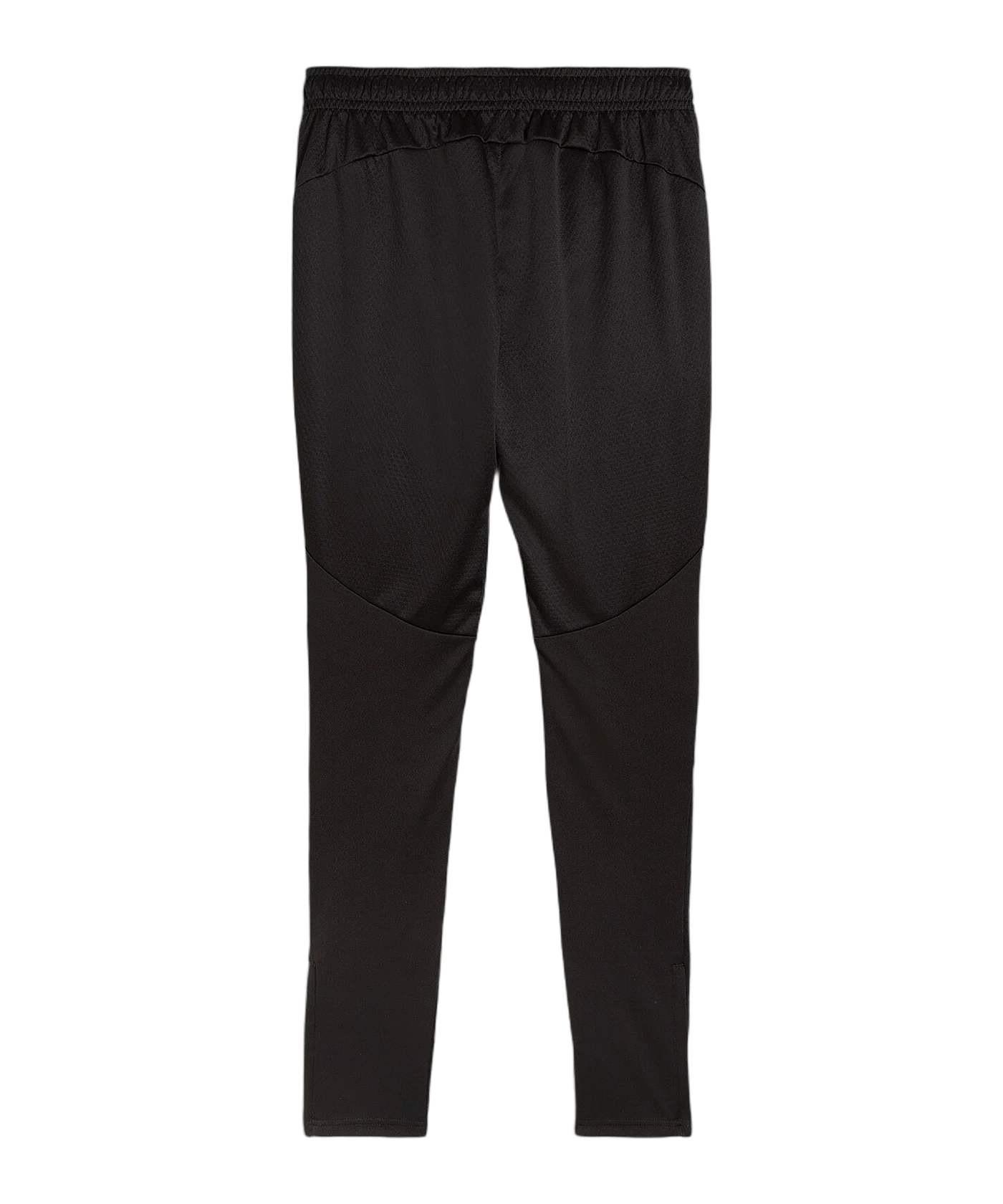PUMA BVB Dortmund Trainingshose Schwarz F02