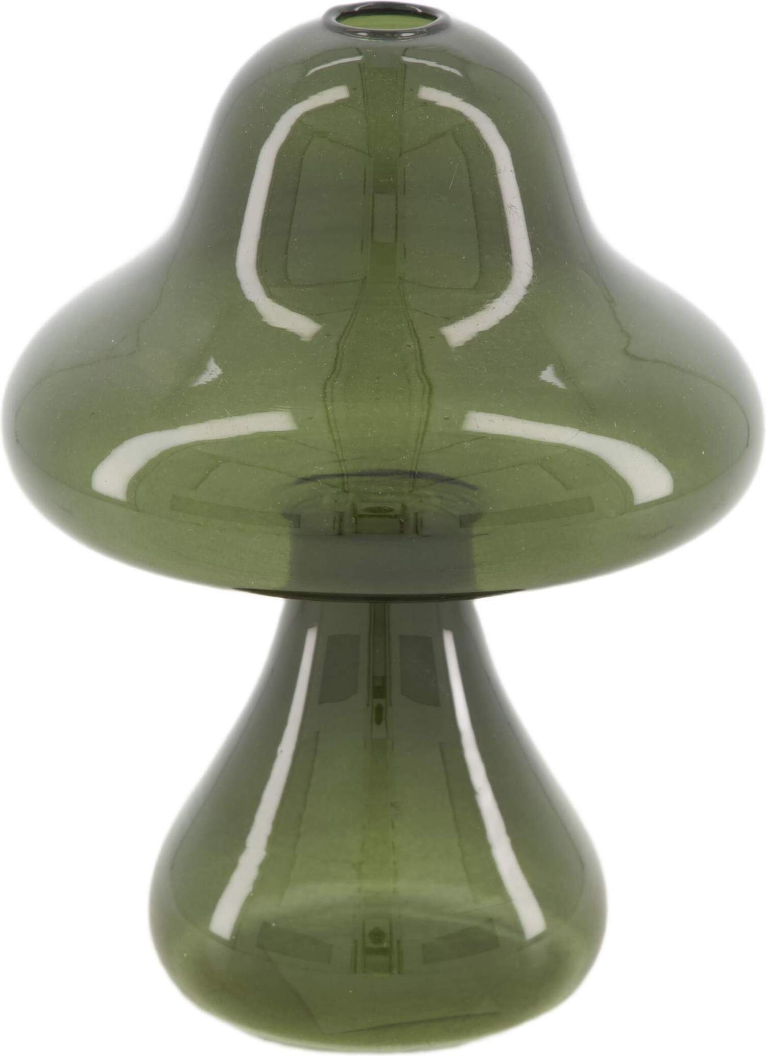 Dijk Natural Collections vaas groen D 12 H 16 cm
