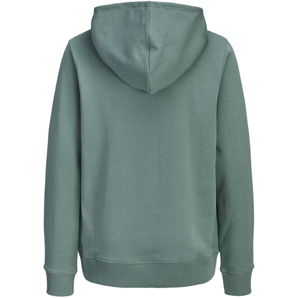 Køb Jack & Jones Junior Mineral Blue Jjcollege Logo Sweat Hætte Jnr