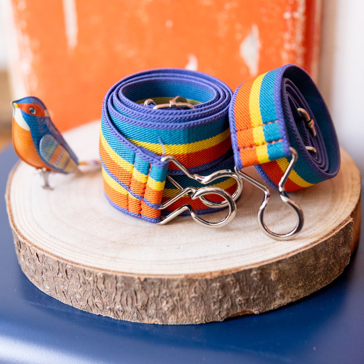 Ceinture élastique rayée arc-en-ciel - À bicyclette Roodoudou