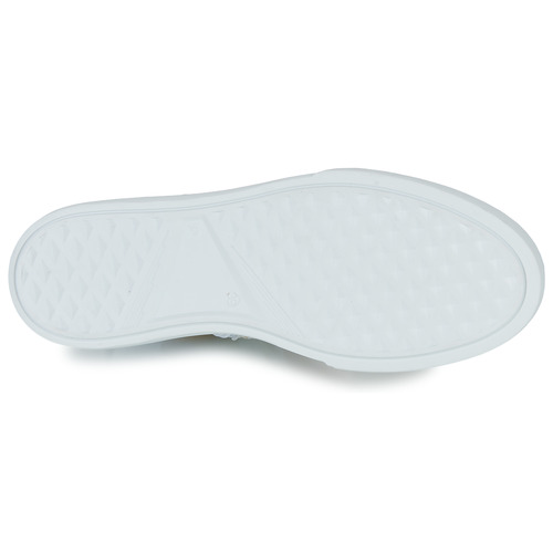 Bullboxer - AOP508 - Blanc