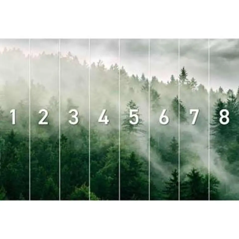 Fotobehang Mistige heuveltop - 260x384cm - Groen