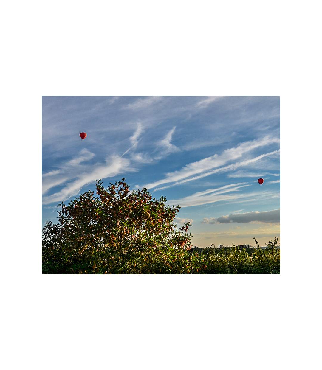 Vol en montgolfière pour 2 avec dégustation de vin au-dessus de la vallée de la Loire - SMARTBOX - Coffret Cadeau Sport & Aventure