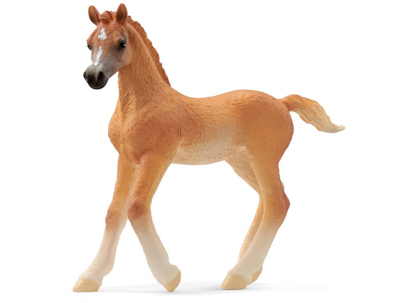 Schleich Spielzeugfigur Horse Club Araber Fohlen Spielzeug-Tierfigur