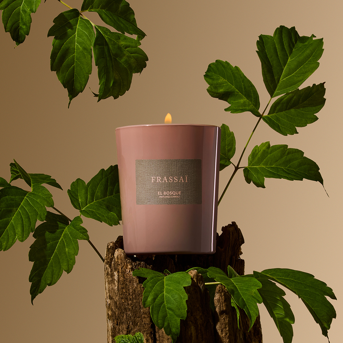 El Bosque Scented Candle 180gr