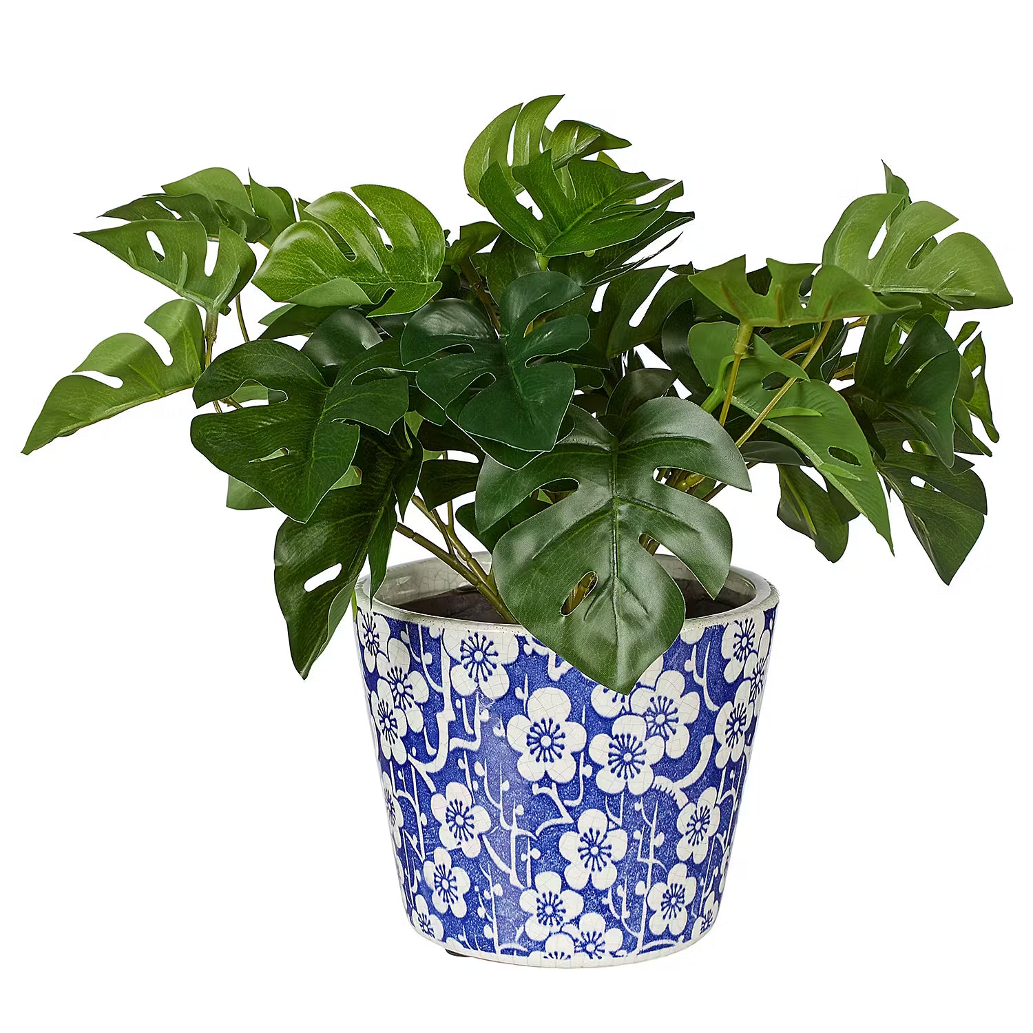 Blumentopf EVERGREEN 6er-Set