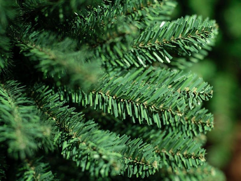 Everlands Pencil Pine Classic kunstkerstboom | 240cm | Smal | Groen
