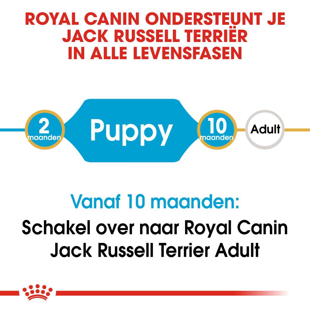 Royal Canin Jack Russell Terrier Junior - Hondenvoer - 1.5 Kilogram - gevogelte
