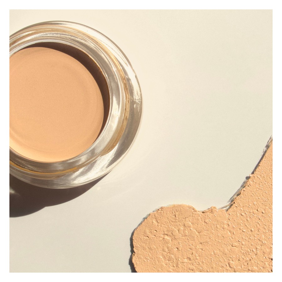 Ere Perez Arnica All-Cover Pot Honey 5g