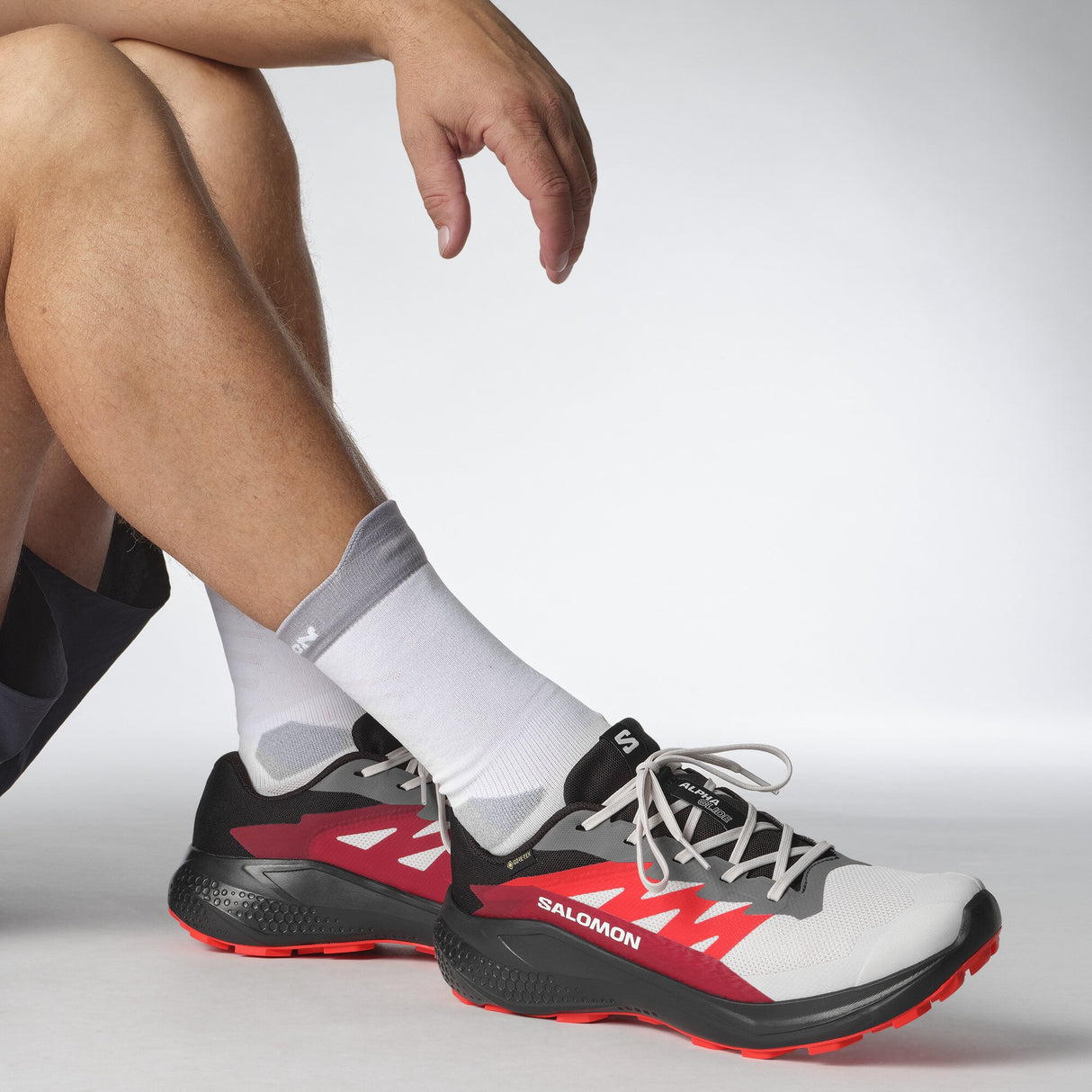 Salomon<br>Alphaglide GTX