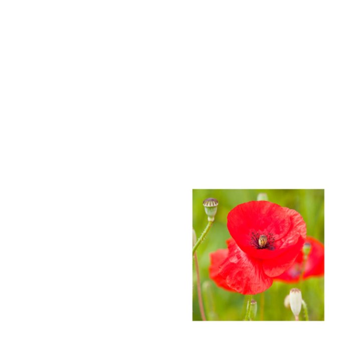 Greetz | Condoleancekaart | Vier neutrale foto's