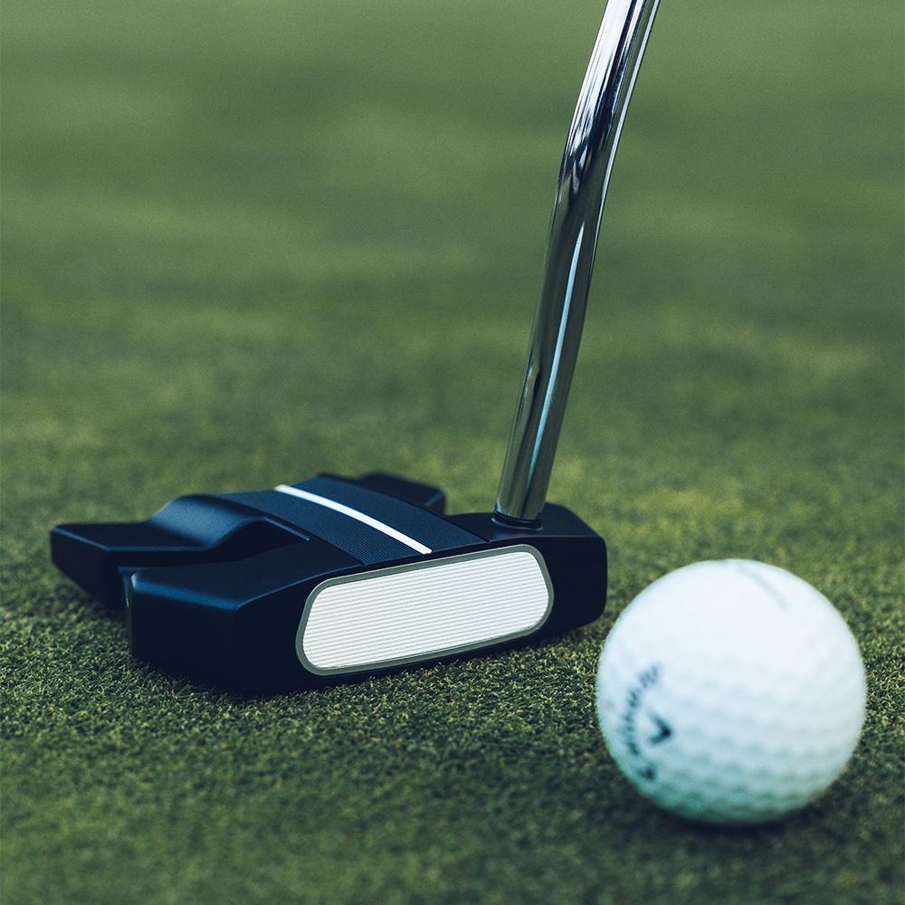 Ai-ONE Wing Back DB Putter