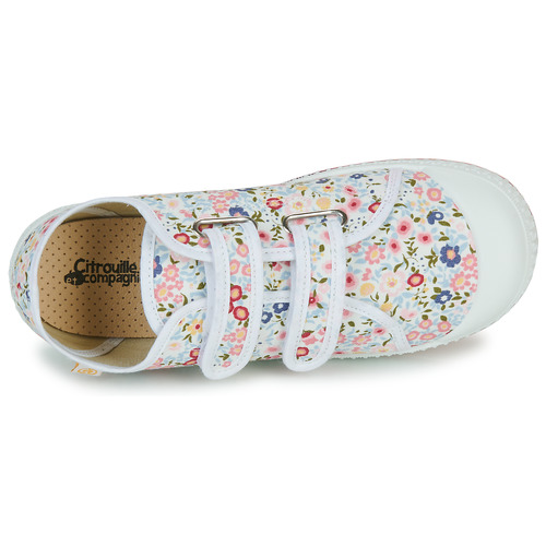 Citrouille et Compagnie - MINOT Multicolor / Flores