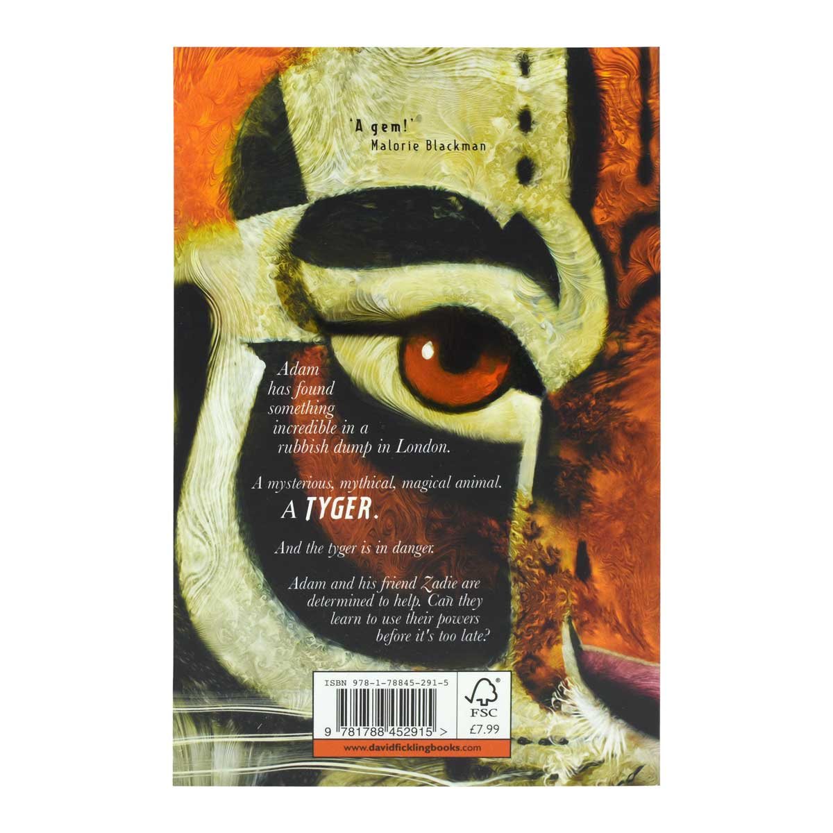 Tyger (Paperback)