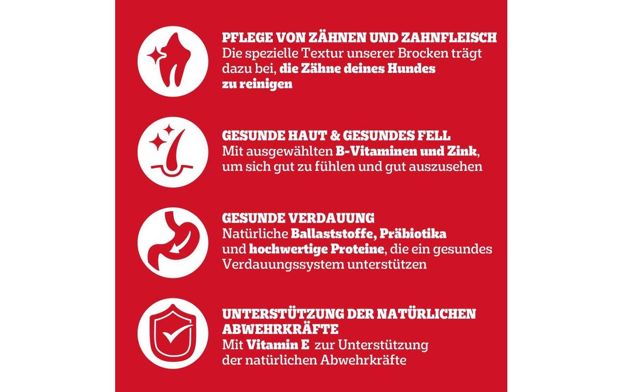 Trockenfutter Adult Rind und Gemüse, 3 kgAusgewogene Trockennahrung mit Fleisch, Gemüse und Vitaminen