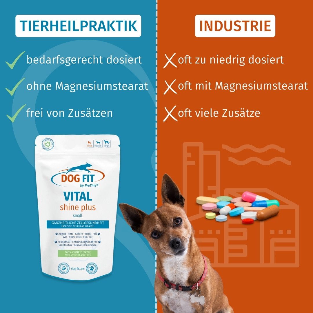 DOG FIT by PreThis® VITAL shine plus » Augen, Herz, Gehirn, Organe Präparat für Hunde (small)