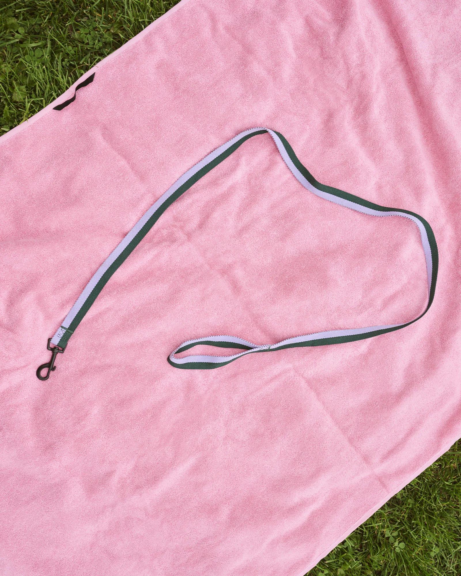 HAY HAY Dogs Leash
