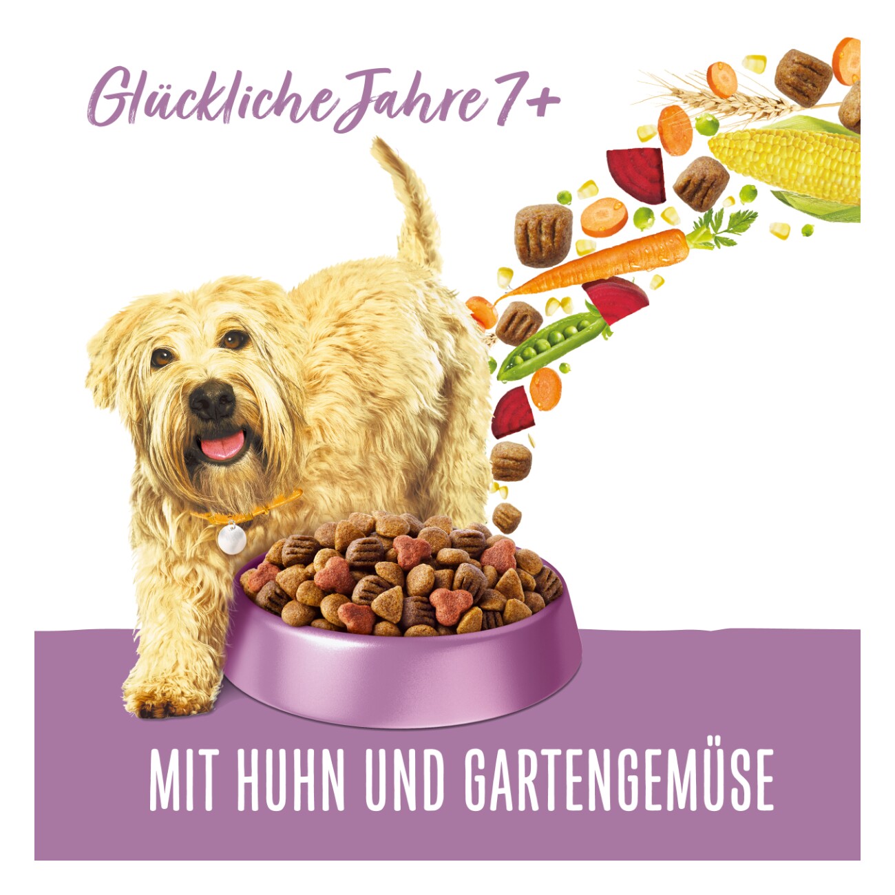 Beneful Purina Trockenfutter Hund, Senior, Glückliche Jahre 7+, Huhn und Gartengemüse 12 kg