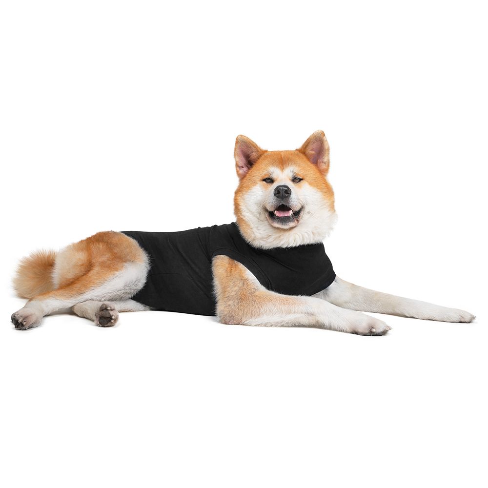 Suitical Recovery Suit - Operationsshirt für Hunde