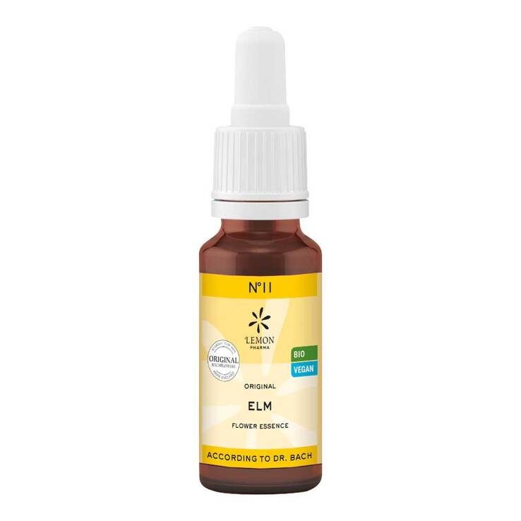 Bachblüte No.11 Elm Bio, 20 ml
