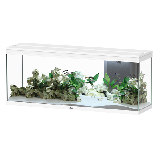 Aquarium équipé Splendid Led 2.0 Blanc L.150xP.40xH.61cm
