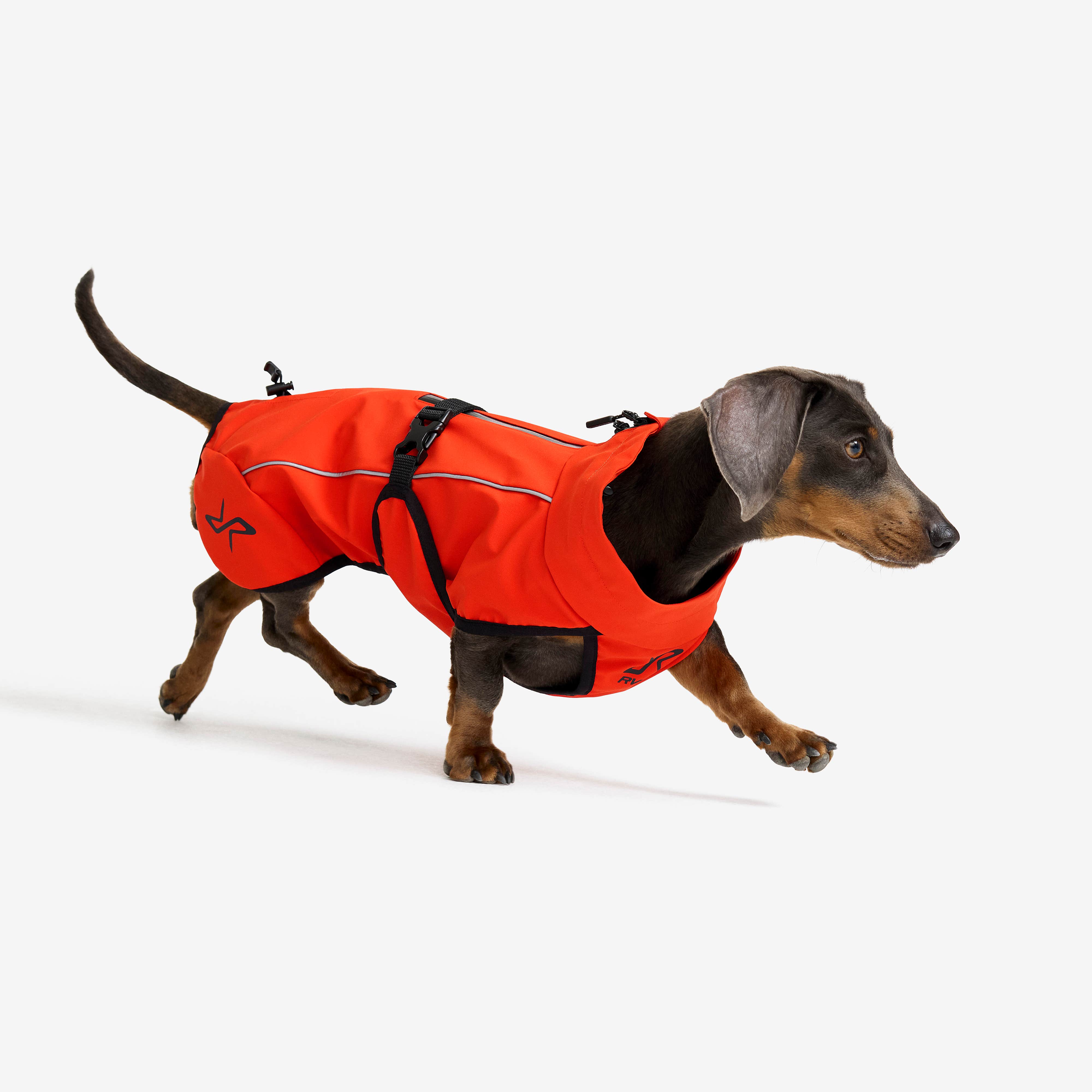 Cyclone Dog Jacket Hund Pureed Pumpkin