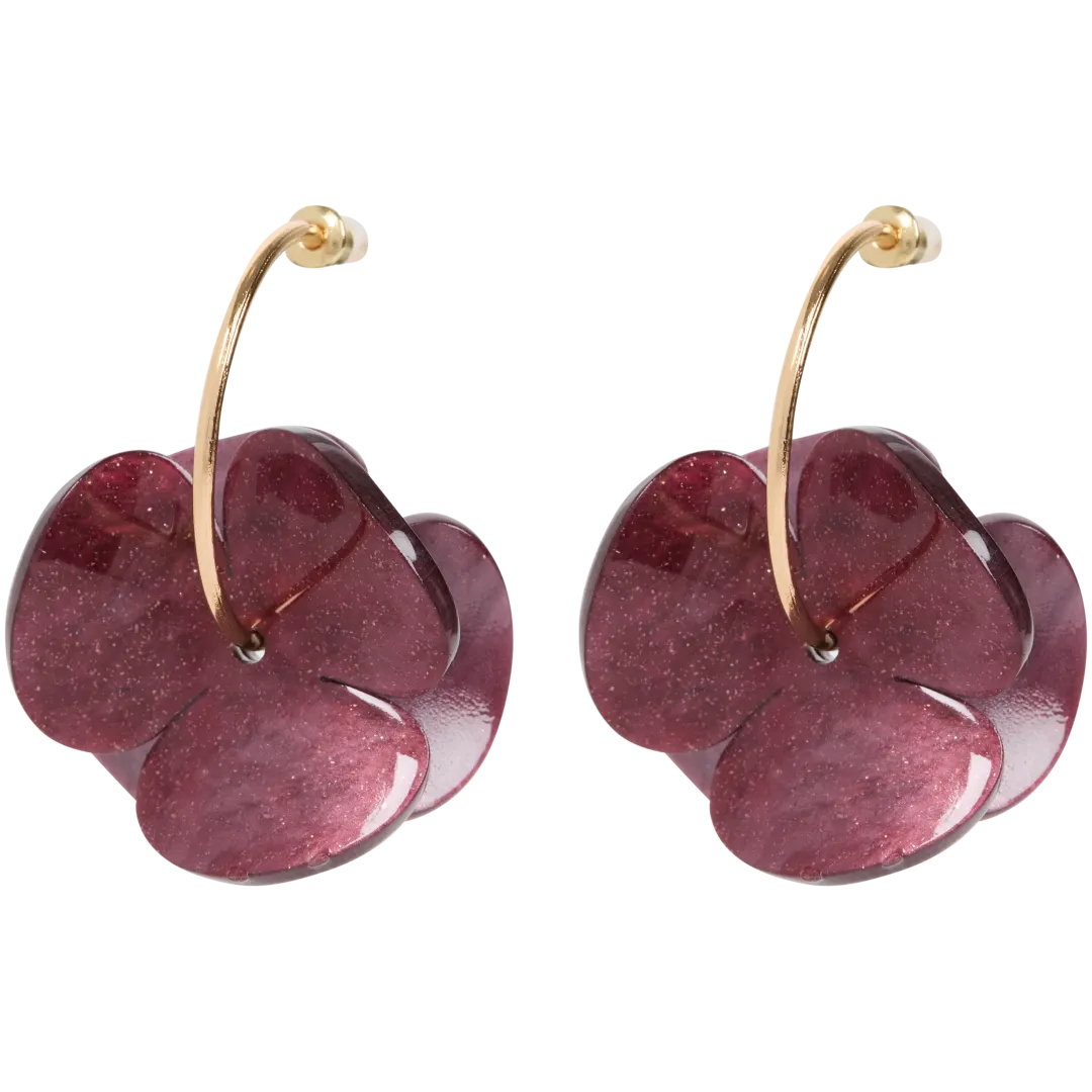 Boucles d'oreilles