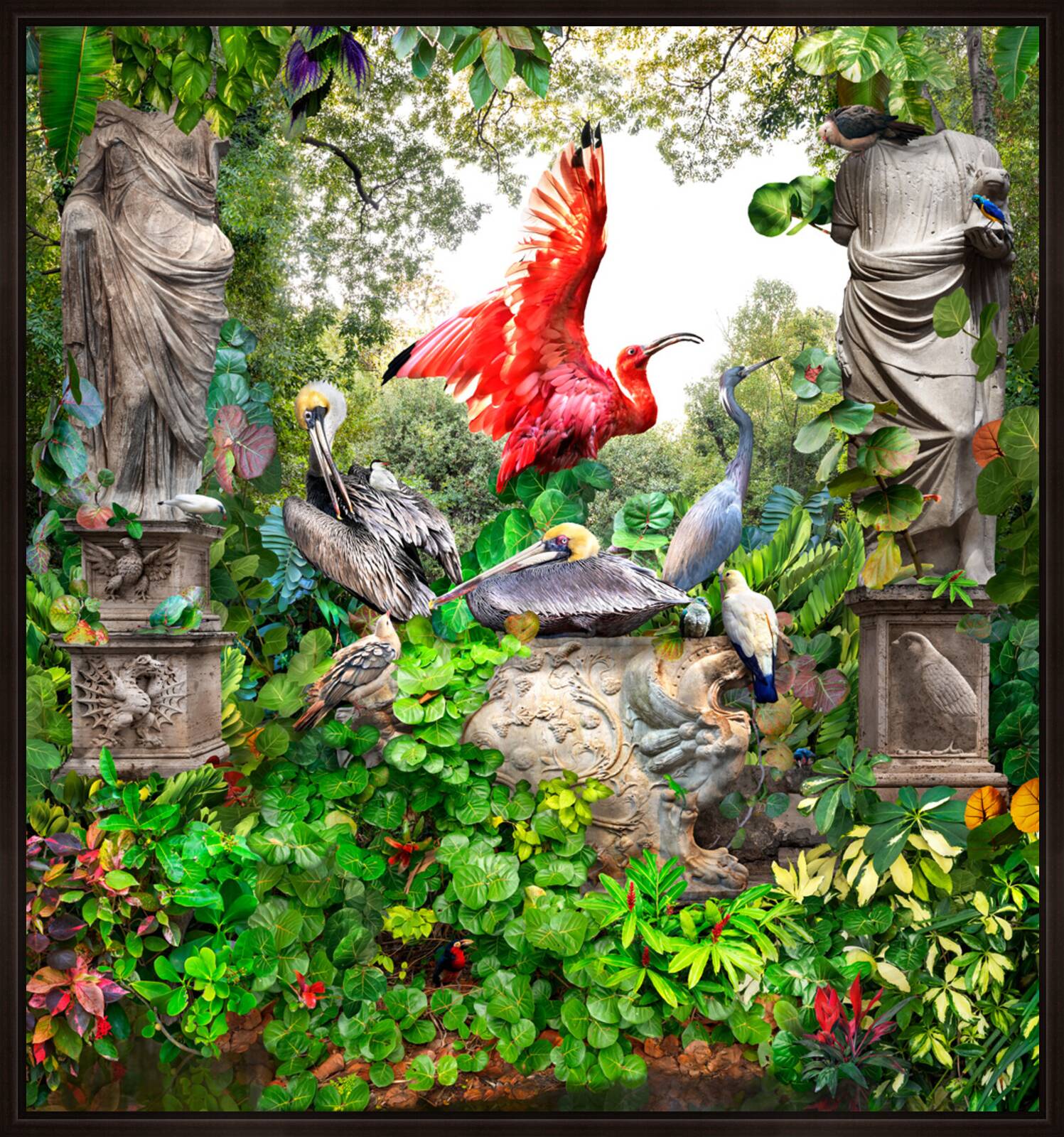 Scarlet Ibis by Pat Swain - Limited Edition. Edition of: 150. Signed.