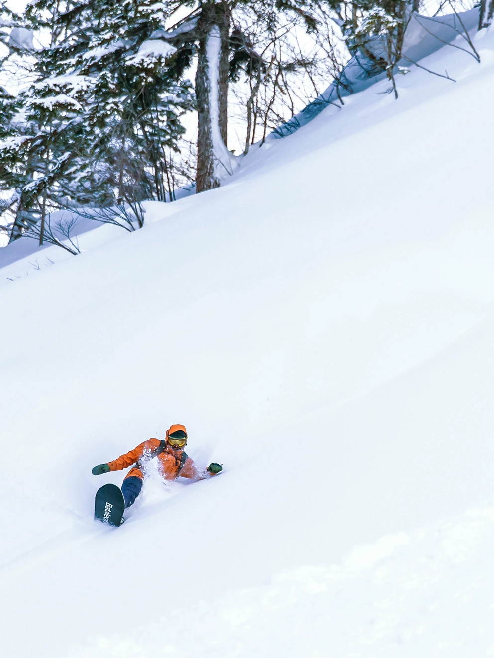 Bataleon Surfer 2025 Snowboard uni