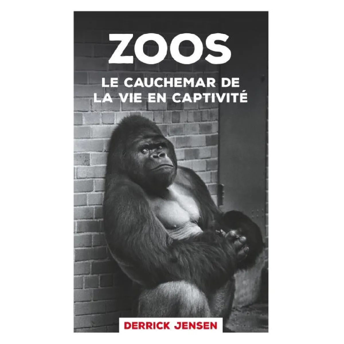 Zoos : le cauchemar de la vie en captivité