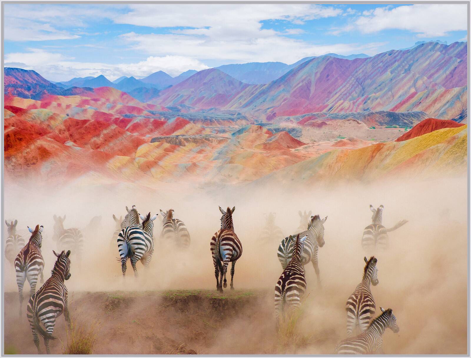 Colorful Zebras by Robert Jahns - Open Edition.