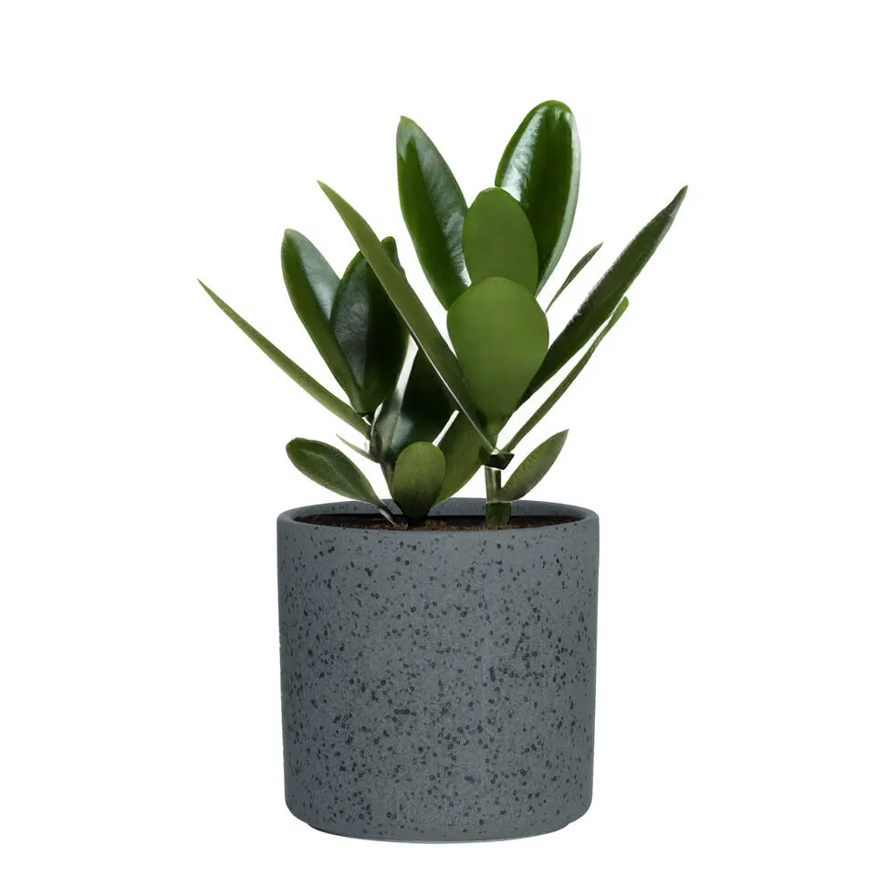 Hakbijl Plantenpot/bloempot Cindy - keramiek - D17 x H17 cm