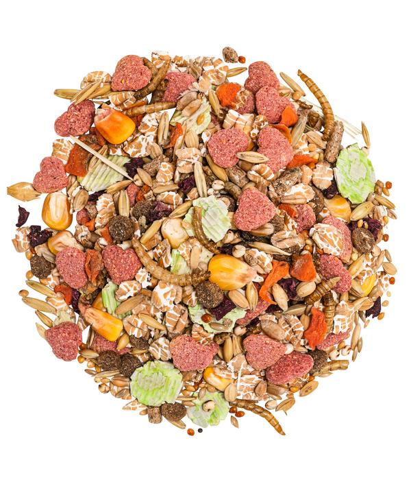 Dehner Premium Zwerghamsterfutter, 750 g