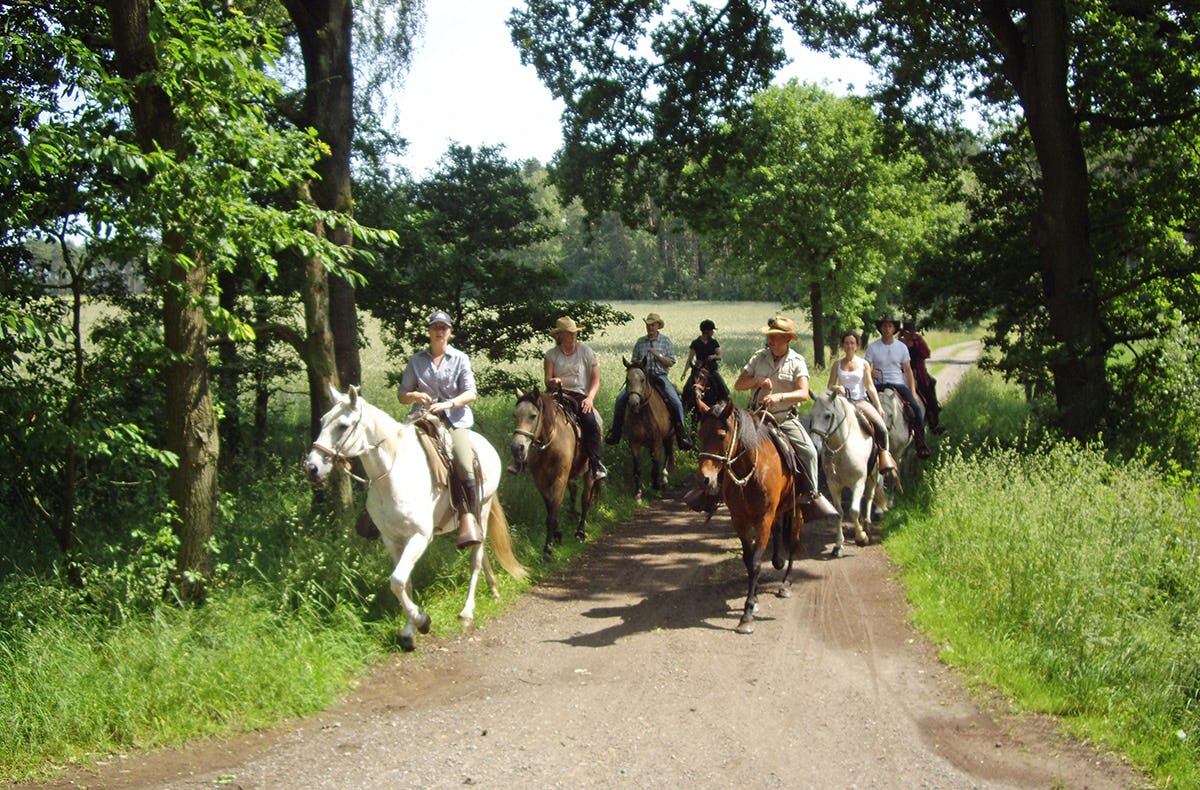Wanderreiten Neustadt am Rübenberge