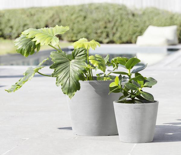 Ecopots Kunststoff-Topf Amsterdam mit