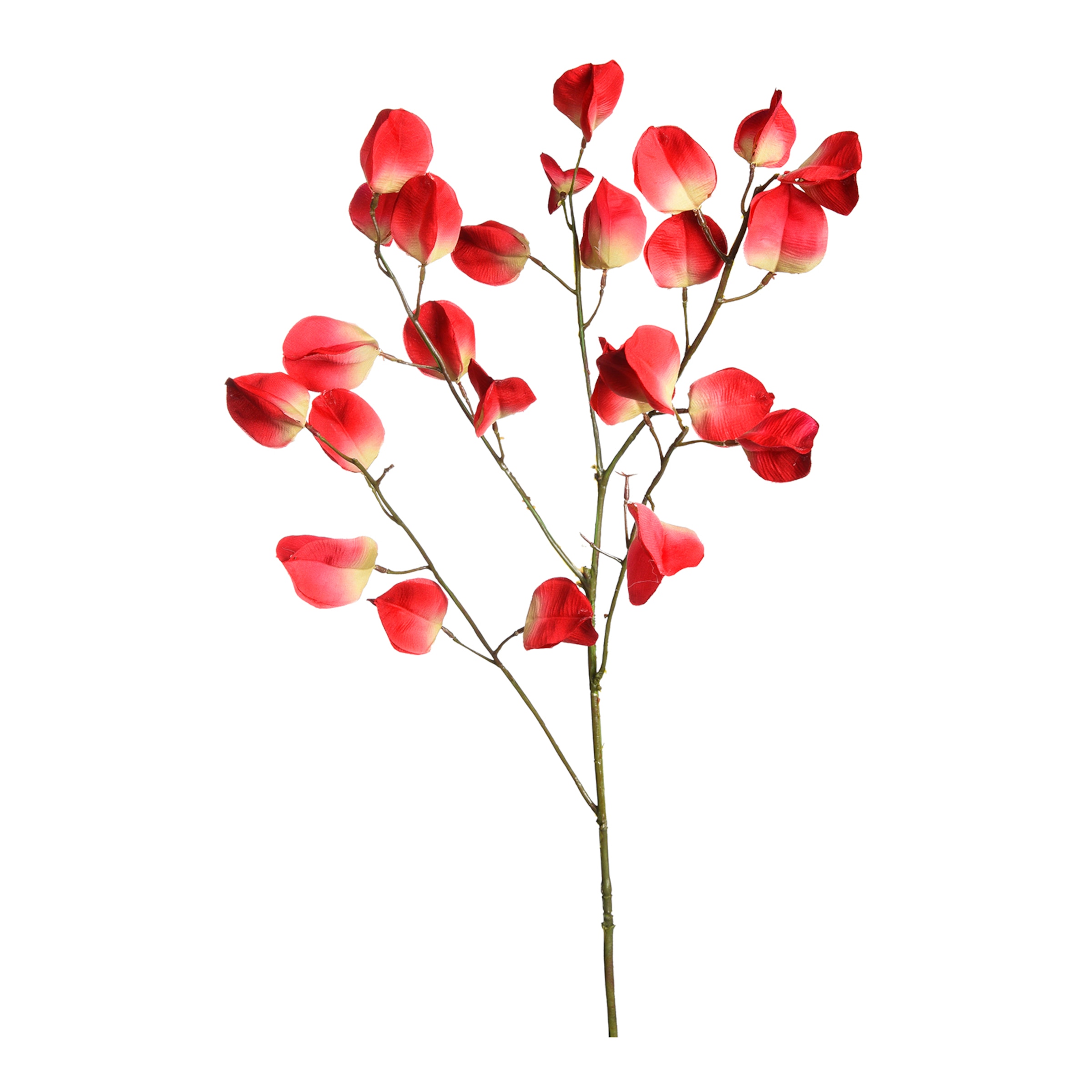 rot, L 84 cm