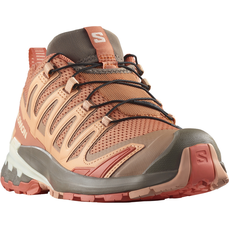Salomon XA Pro 3D V9 Schuhe