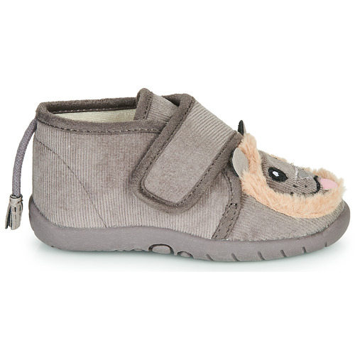 Little Mary - LIONVELCRO - Gris