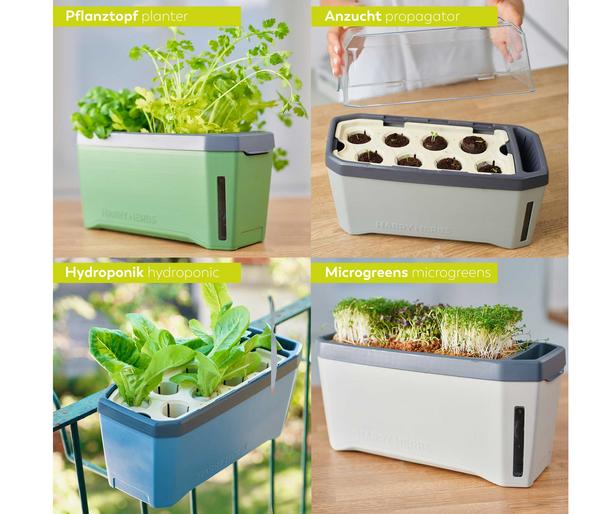 Gusta Garden Kräutertopf Harry Herbs, ca.