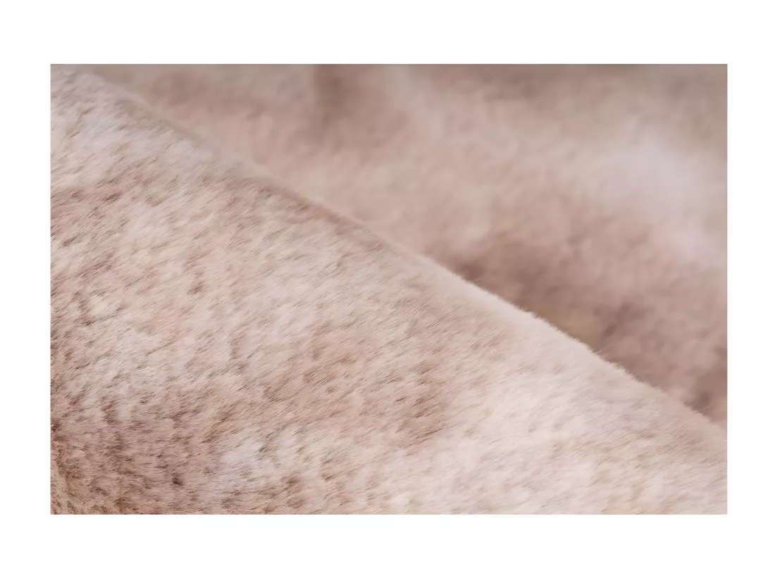 Tapis 230x160cm, design B005O coloris beige - Confort et élégance pour votre intérieur