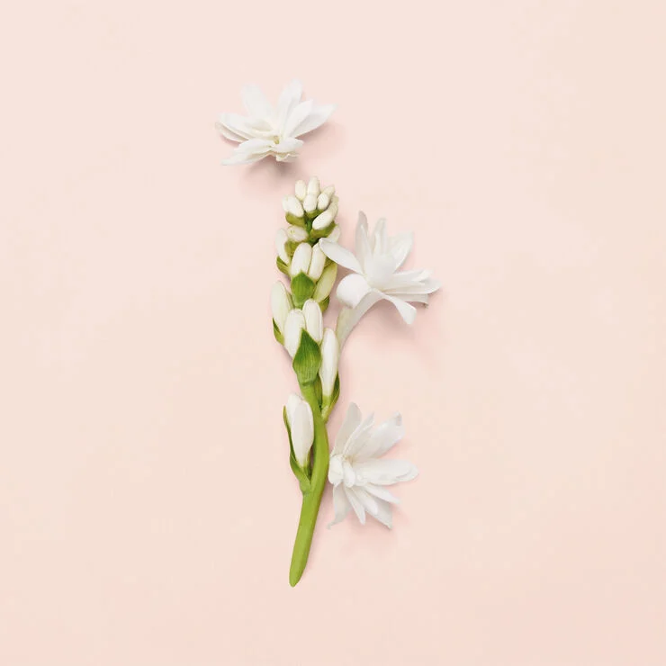 Gucci Bloom Eau De Parfum