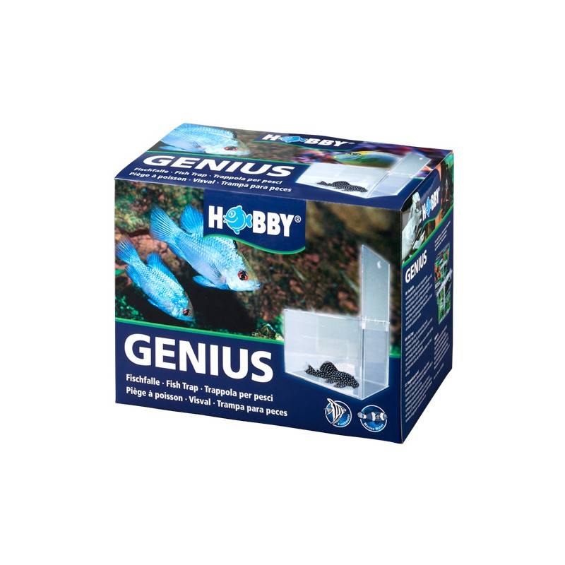 Hobby Genius Visval