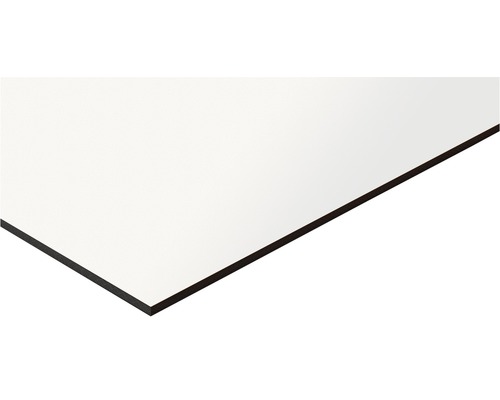 Vaste afmetingen HPL compactpaneel wit 1200x600x3 mm