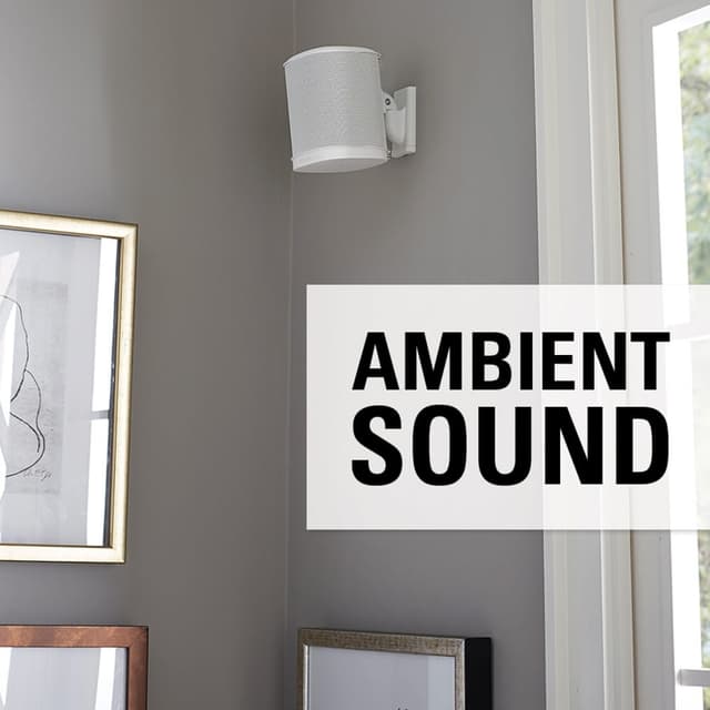 SANUS Wall Mount for Sonos One SL Play:1 Play:3 Pair White