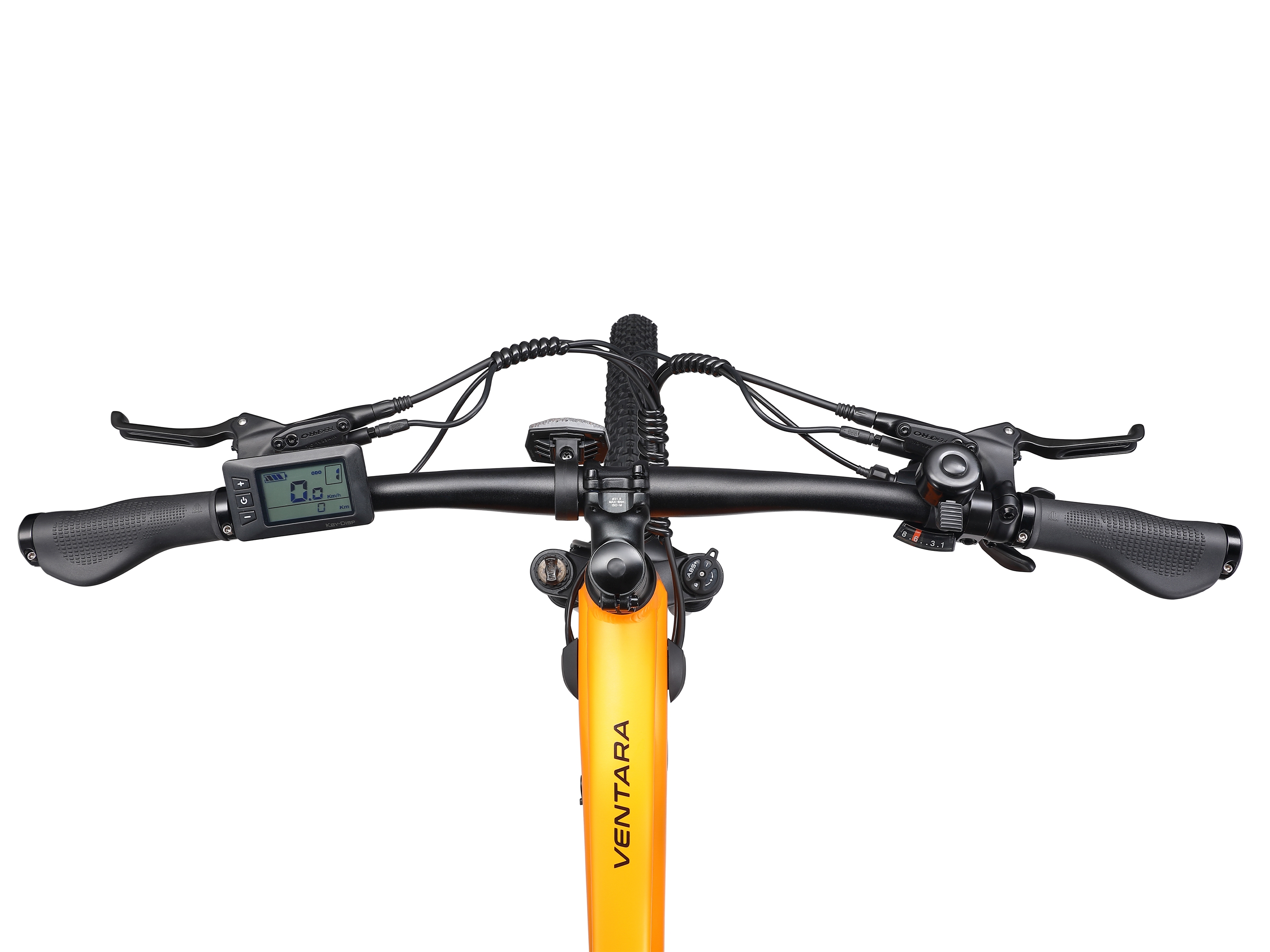 E-Bike Mountainbike 29