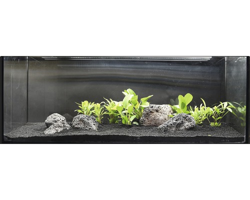 XXL aquarium waterplantenpakket 
