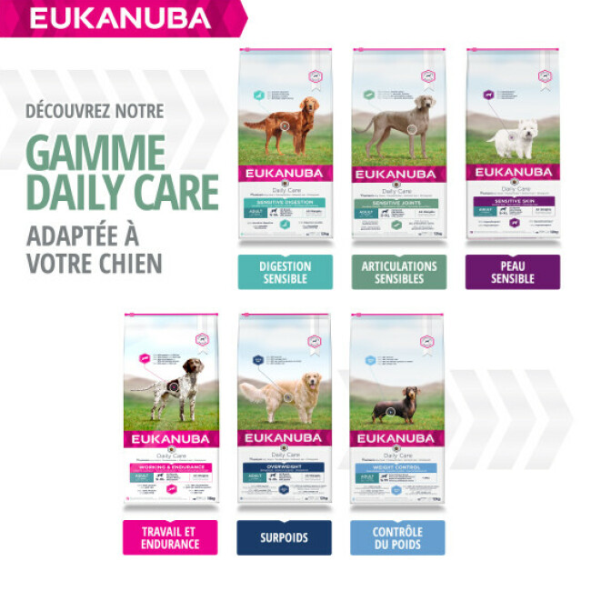 Croquettes Eukanuba Adulte Daily Care Articulations Sensibles