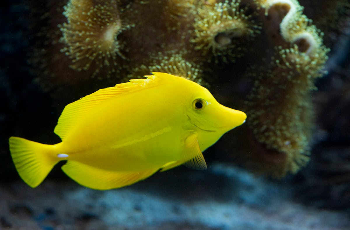 Sea Life Speyer