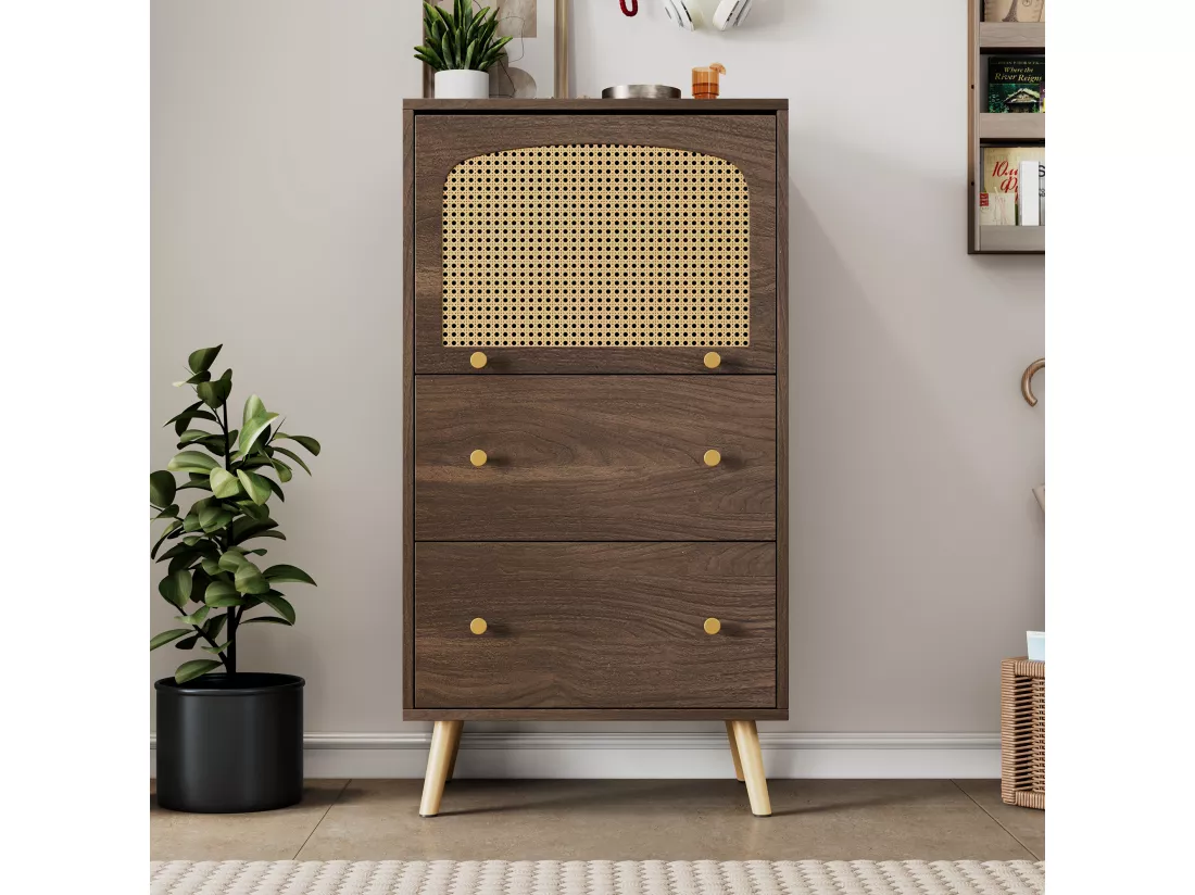 Armoire compacte en noyer avec détails en rotin, deux tiroirs, porte coulissante et pieds dorés – 60 x 40 x 113 cm – Meuble de rangement élégant